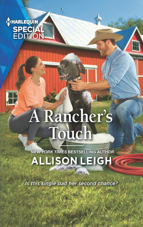 Cover image for book A Rancher's Touch