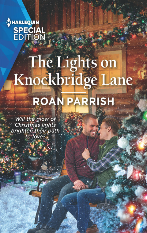 Cover image for book The Lights on Knockbridge Lane