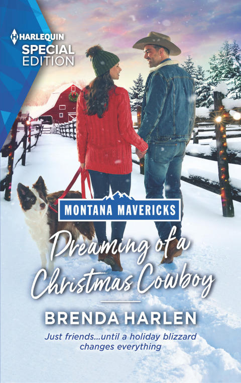 Cover image for book Dreaming of a Christmas Cowboy