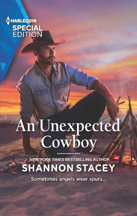 Cover image for book An Unexpected Cowboy