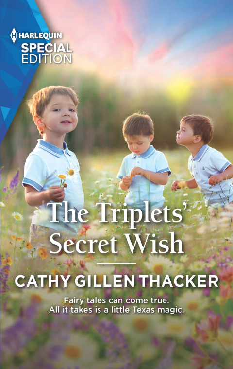 Cover image for book The Triplets' Secret Wish