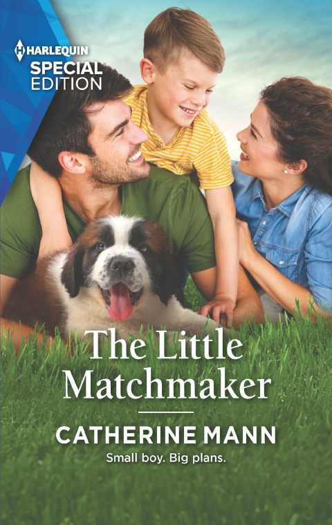 Cover image for book The Little Matchmaker