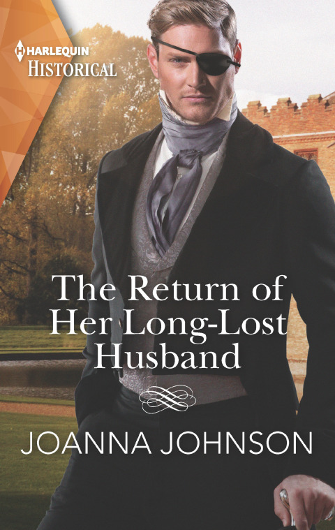 Cover image for book The Return of Her Long-Lost Husband