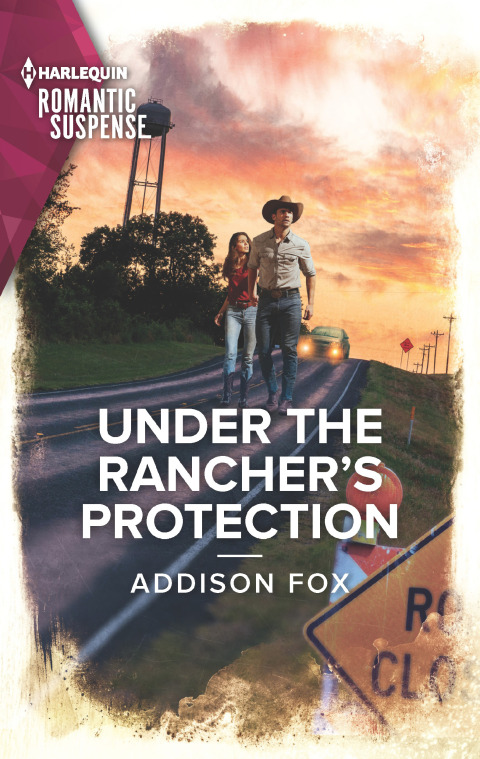 Cover image for book Under the Rancher's Protection