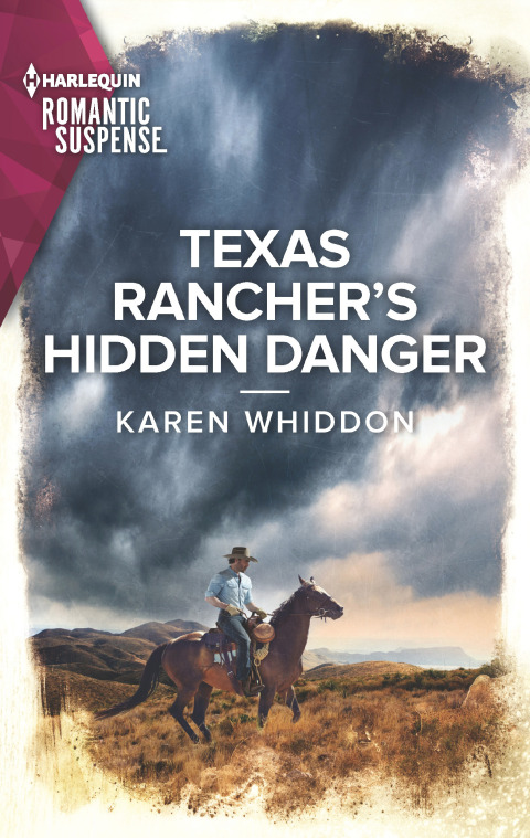 Cover image for book Texas Rancher's Hidden Danger