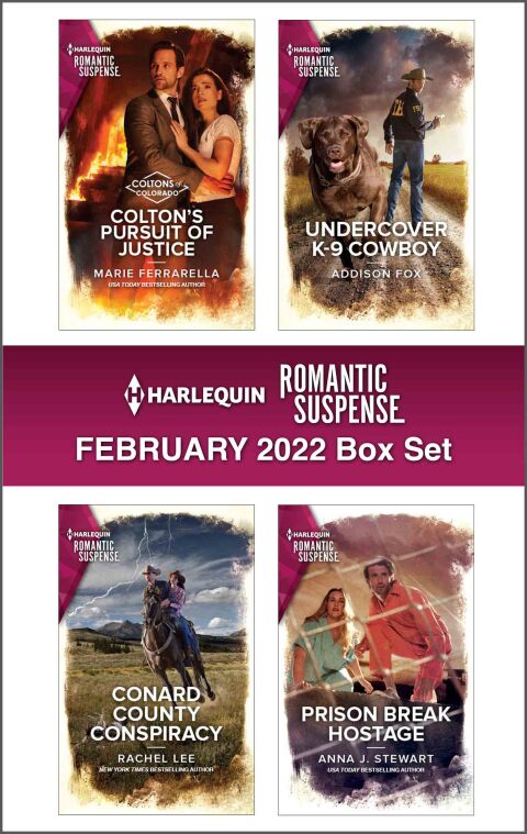 Cover image for book Harlequin Romantic Suspense February 2022 - Box Set