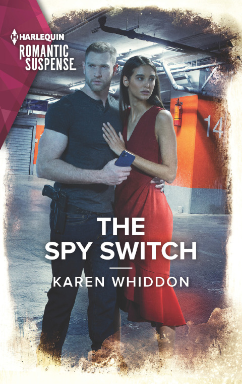 Cover image for book The Spy Switch