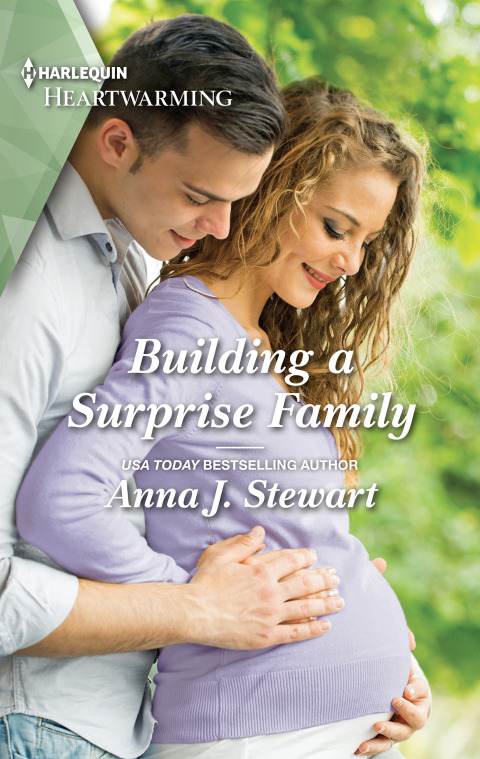 Cover image for book Building a Surprise Family