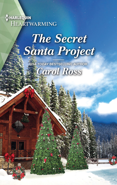 Cover image for book The Secret Santa Project
