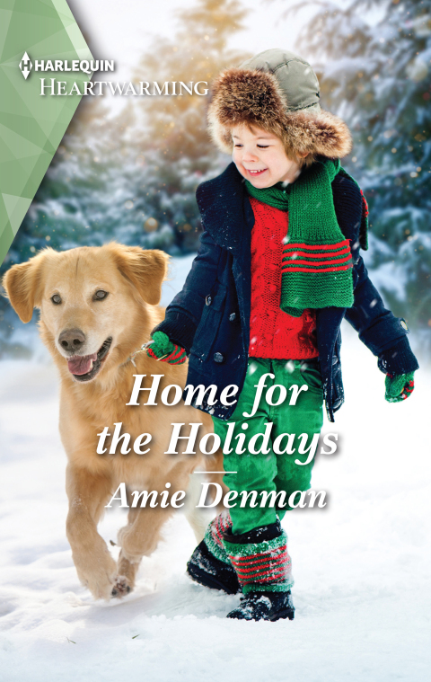 Cover image for book Home for the Holidays