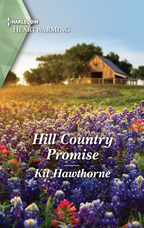 Cover image for book Hill Country Promise