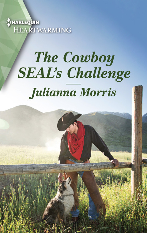 Cover image for book The Cowboy SEAL's Challenge