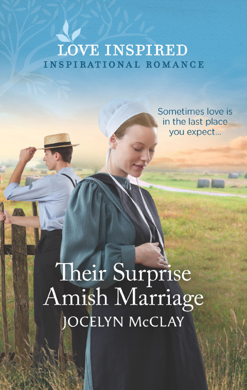 Cover image for book Their Surprise Amish Marriage