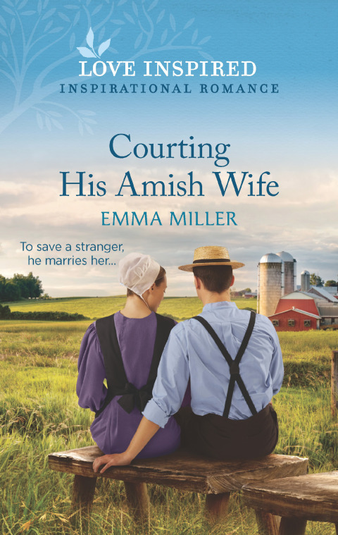 Cover image for book Courting His Amish Wife