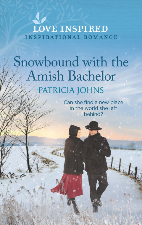 Cover image for book Snowbound with the Amish Bachelor