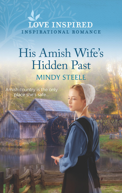 Cover image for book His Amish Wife's Hidden Past