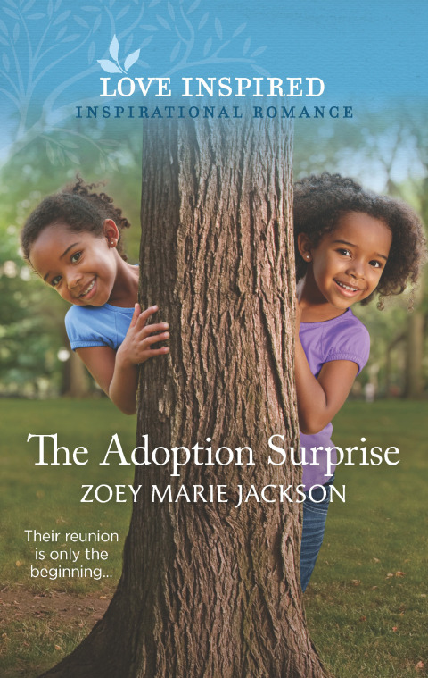 Cover image for book The Adoption Surprise