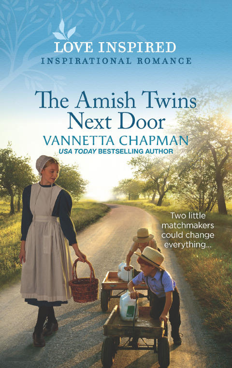 Cover image for book The Amish Twins Next Door
