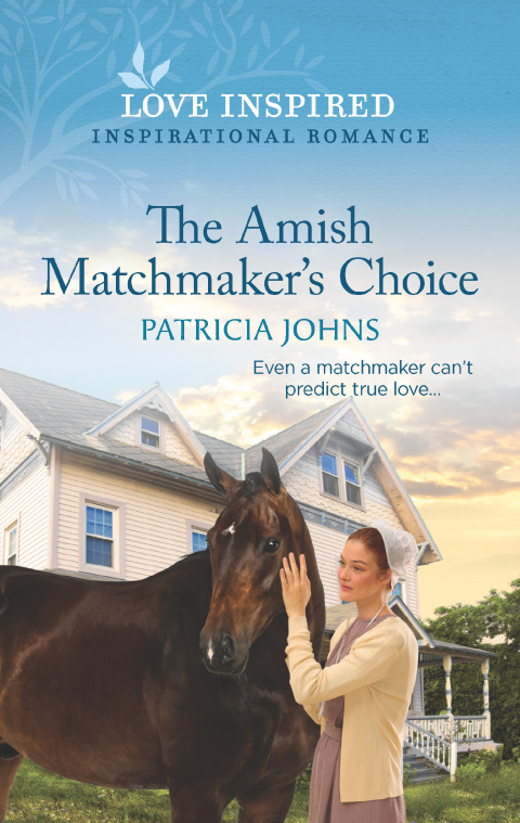 Cover image for book The Amish Matchmaker's Choice