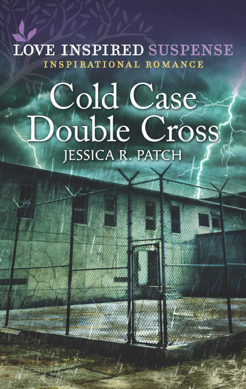 Cover image for book Cold Case Double Cross