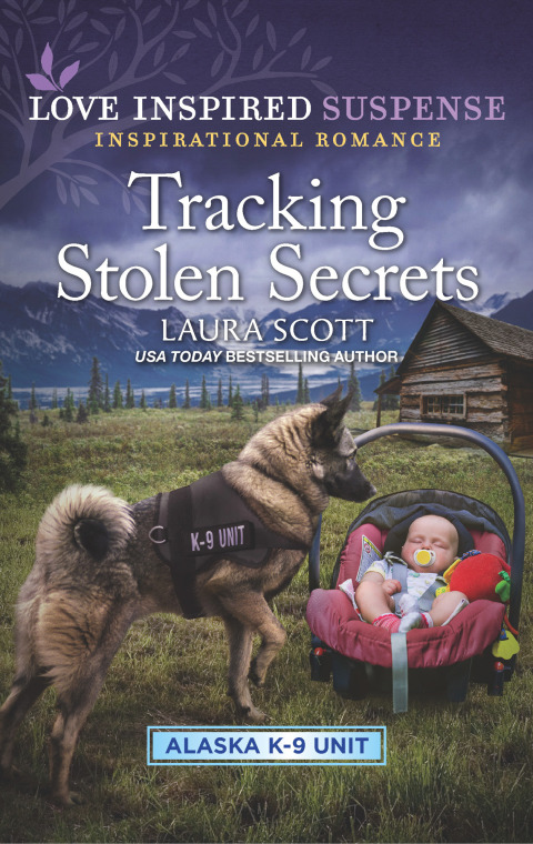 Cover image for book Tracking Stolen Secrets