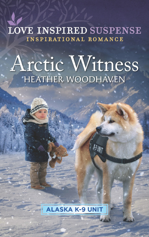 Cover image for book Arctic Witness