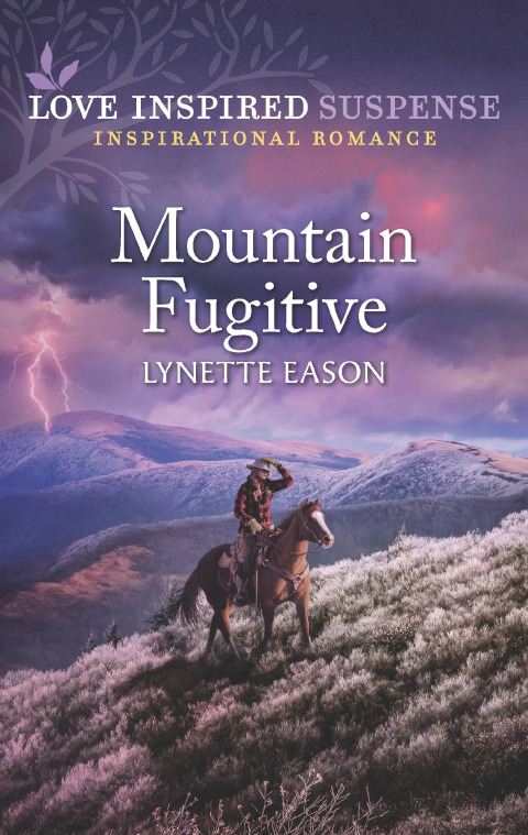 Cover image for book Mountain Fugitive