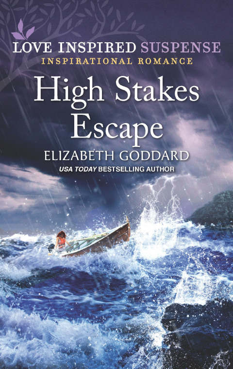 Cover image for book High Stakes Escape