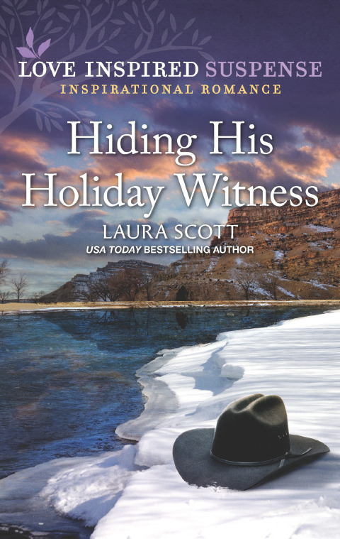 Cover image for book Hiding His Holiday Witness