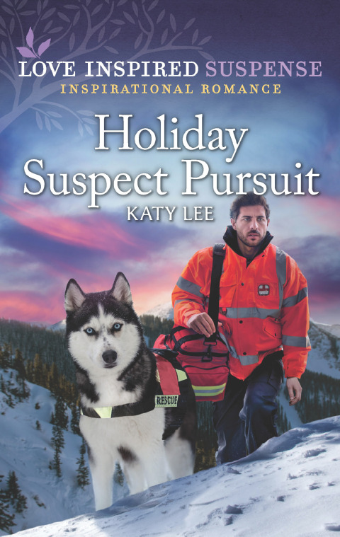 Cover image for book Holiday Suspect Pursuit