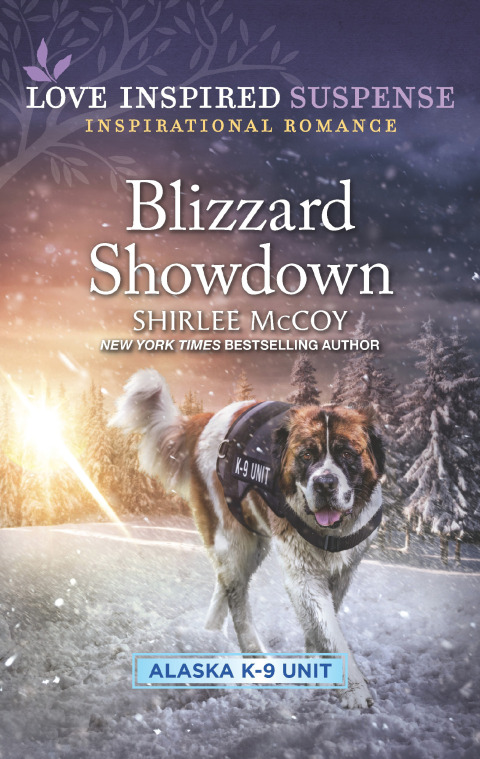 Cover image for book Blizzard Showdown