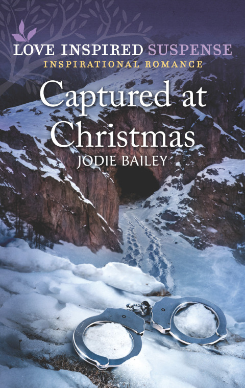 Cover image for book Captured at Christmas