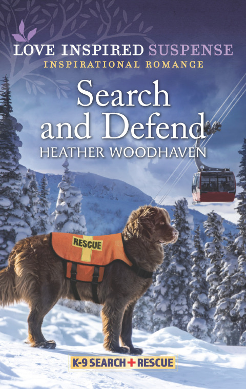 Cover image for book Search and Defend