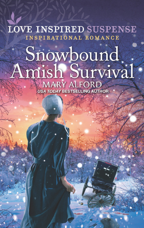 Cover image for book Snowbound Amish Survival