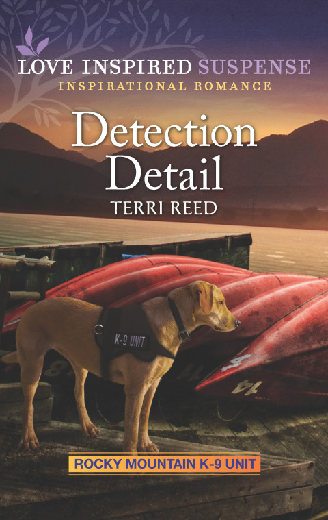 Cover image for book Detection Detail