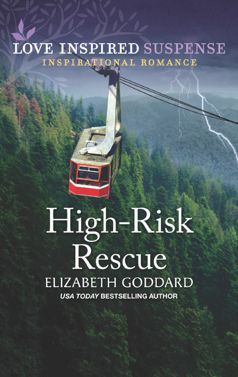Cover image for book High-Risk Rescue