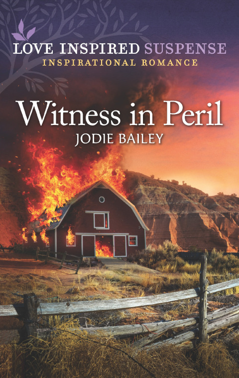 Cover image for book Witness in Peril