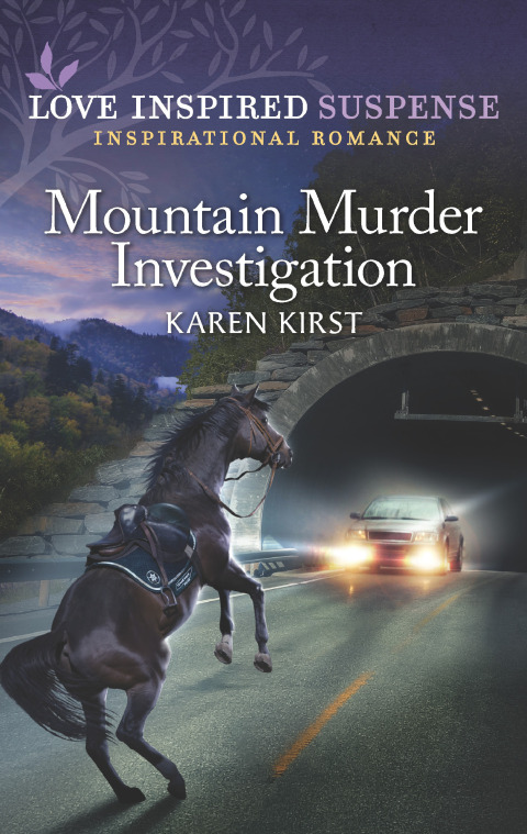Cover image for book Mountain Murder Investigation