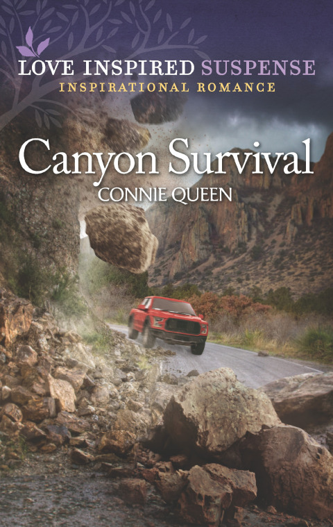 Cover image for book Canyon Survival
