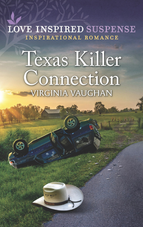 Cover image for book Texas Killer Connection