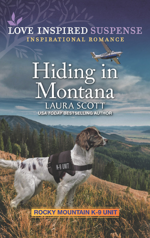 Cover image for book Hiding in Montana
