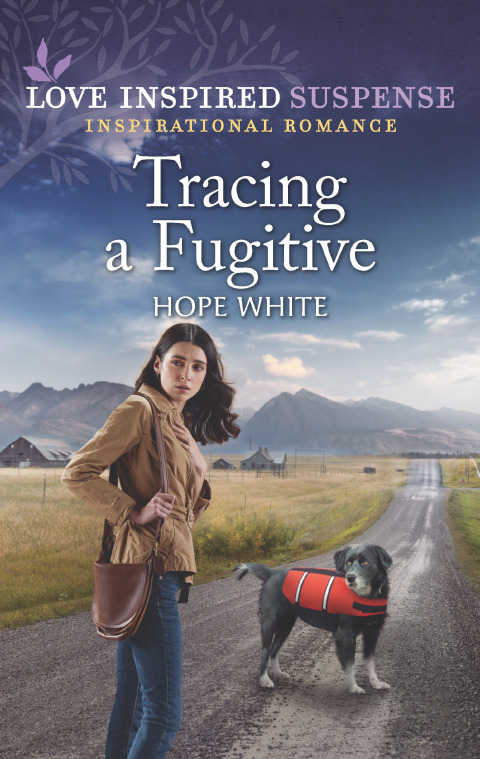Cover image for book Tracing a Fugitive