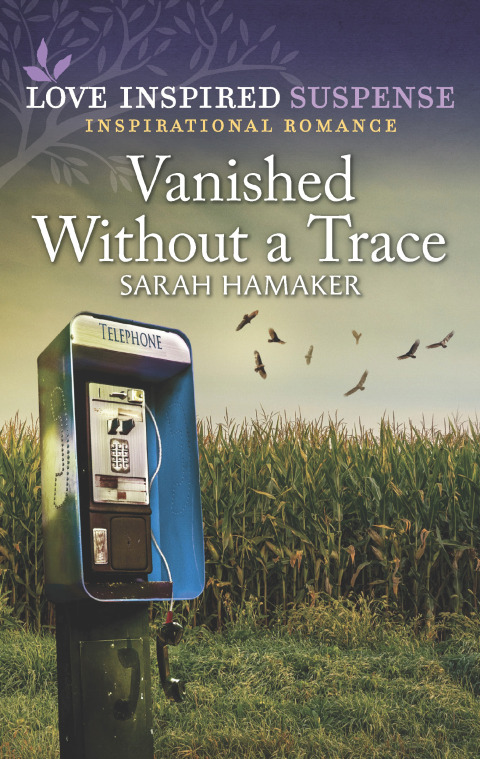 Cover image for book Vanished Without a Trace