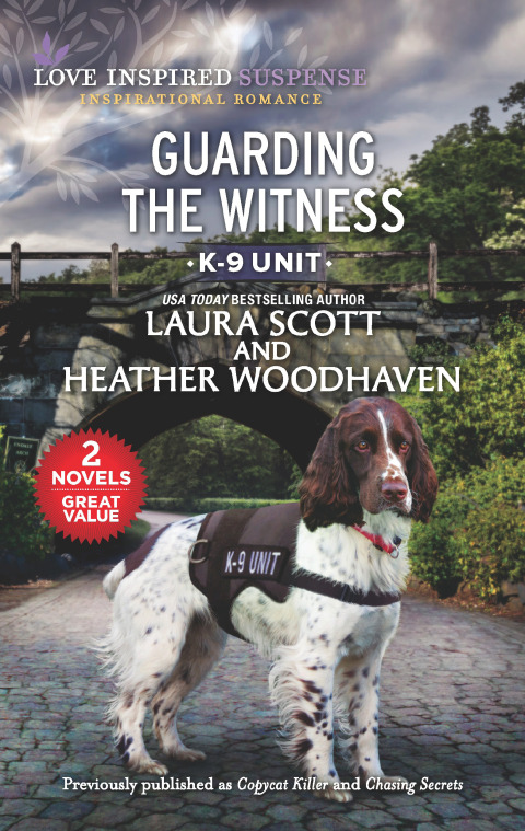 Cover image for book Guarding the Witness