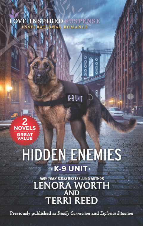 Cover image for book Hidden Enemies