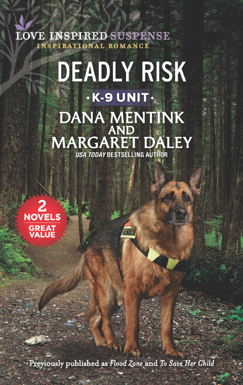 Cover image for book Deadly Risk