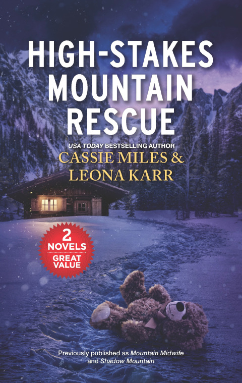 Cover image for book High-Stakes Mountain Rescue