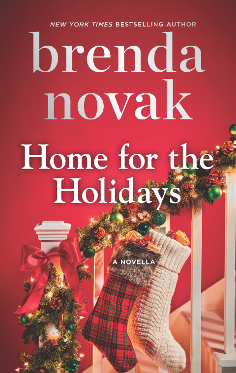 Cover image for book Home for the Holidays