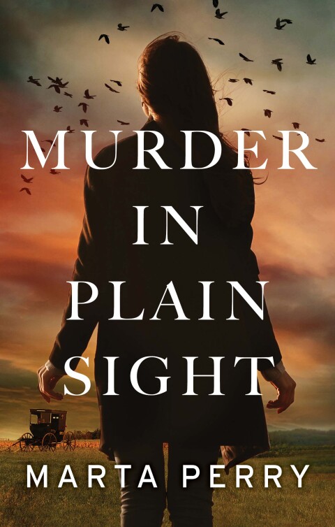 Cover image for book Murder in Plain Sight