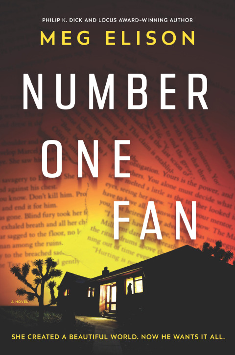 Cover image for book Number One Fan